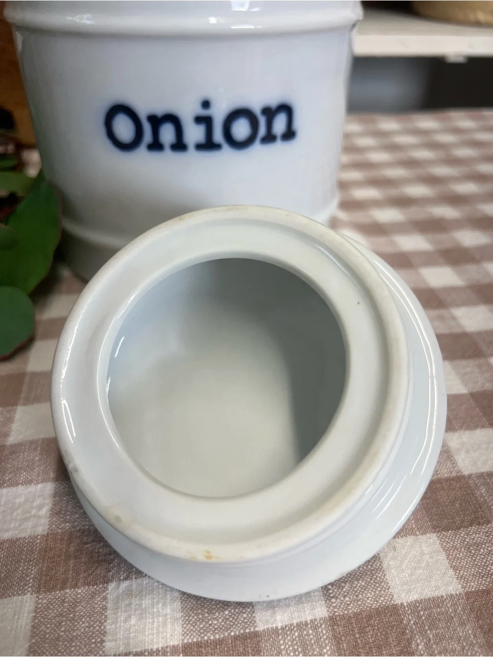 Onion canister world market storage blue white ceramic
